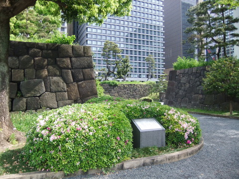 DSCF4815