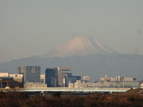 DSC05485