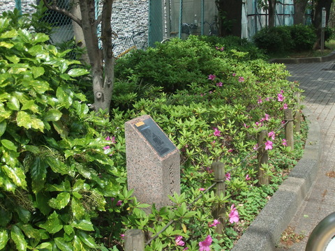DSCF4829