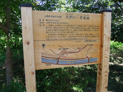 DSCF5187