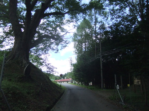 DSCF5284