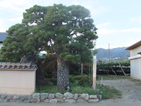DSCF5217