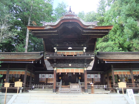 DSCF5304