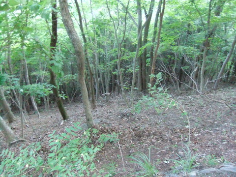 DSCF5207