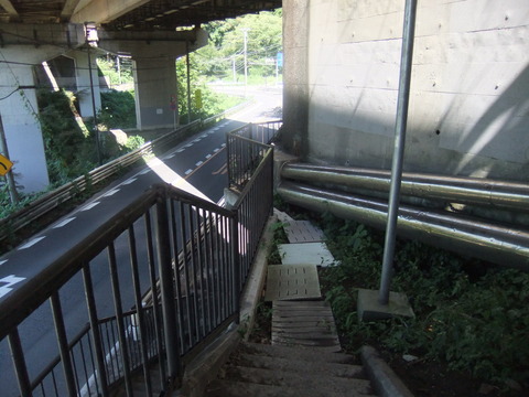 DSCF5174
