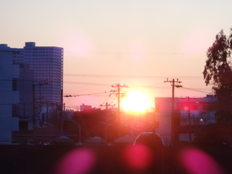 DSC05479