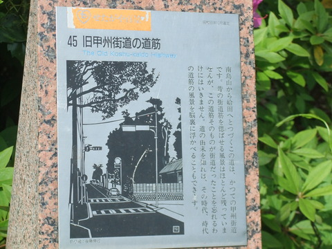 DSCF4830
