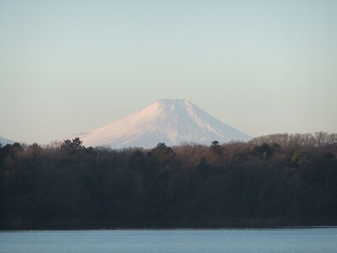 DSCF4954