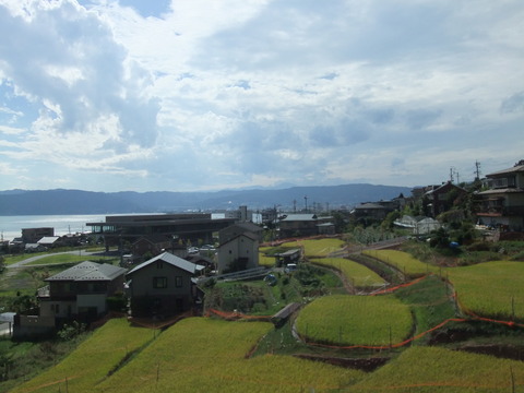 DSCF5297