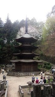 IMG_20160421_095944