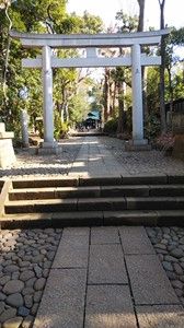 s-IMG_20190320_081850