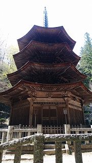 IMG_20180420_130141