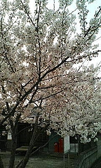 20110410173150