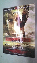 20091219165148»î¼Ì¥µ¥Ù¥¤¥é¥ó¥¹