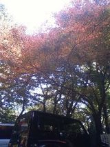 50f947a5.jpg