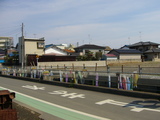こいのぼり