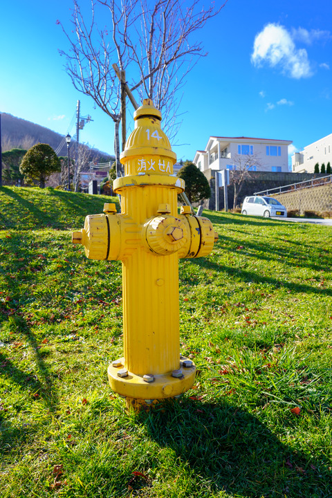 Hakodate-0464