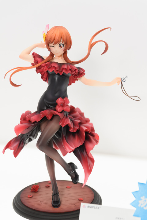WF2016S(ANIPLEX)-0016