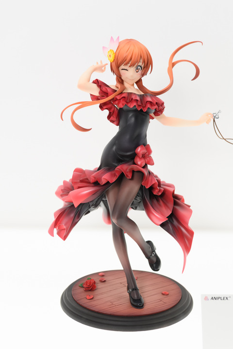 WF2016S(ANIPLEX)-0015