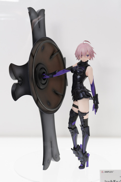 WF2016S(ANIPLEX)-0006