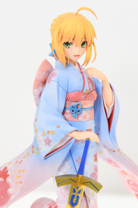 WF2016S(ANIPLEX)-0002