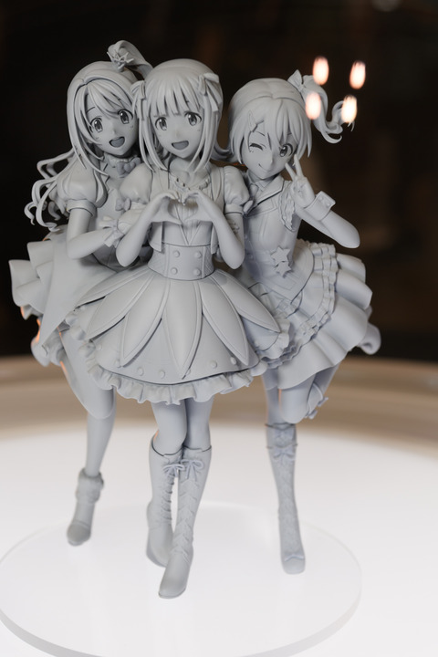 WF2016S(ANIPLEX)-0046