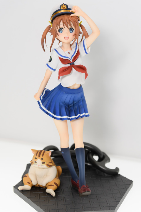 WF2016S(ANIPLEX)-0029