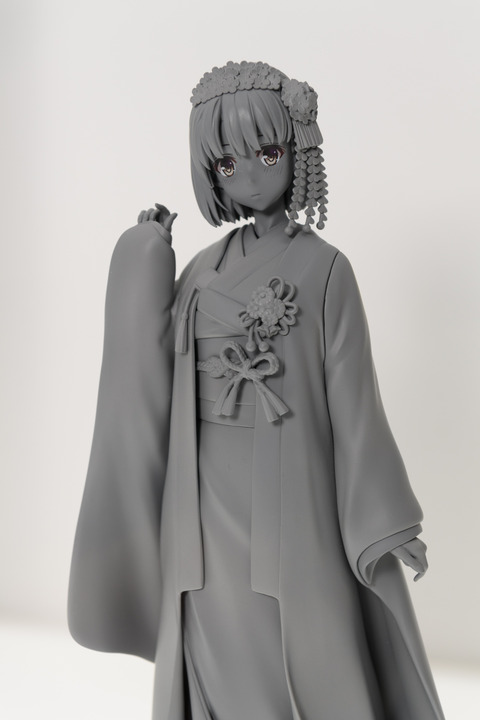 WF2016S(ANIPLEX)-0026