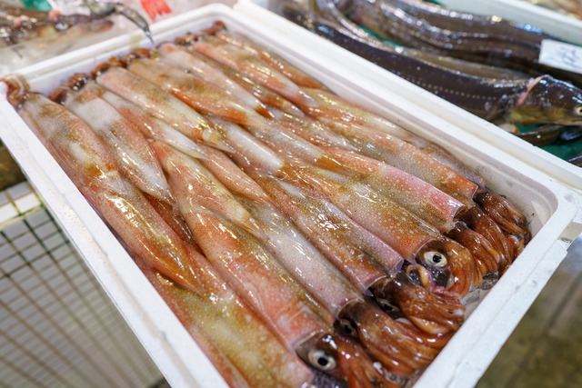 Hakodate-0677