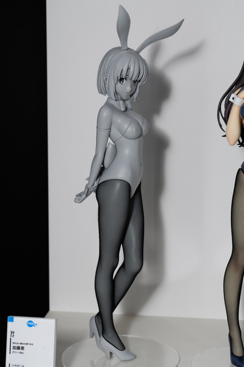 WF2016S(Wonhobi)-0245
