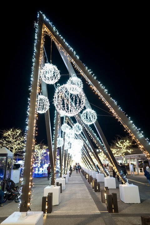 Hakodate-0643