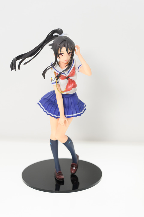 WF2016S(ANIPLEX)-0039