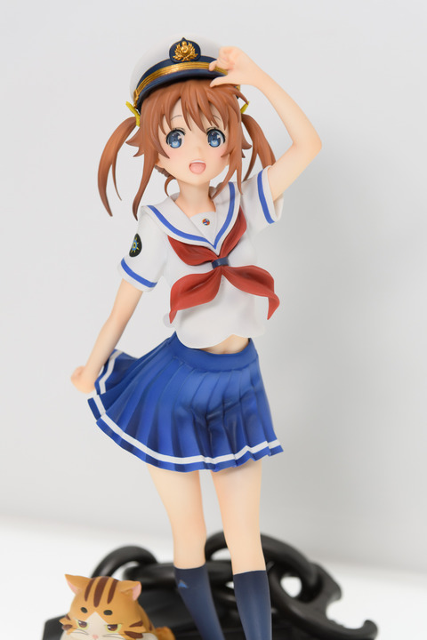 WF2016S(ANIPLEX)-0030