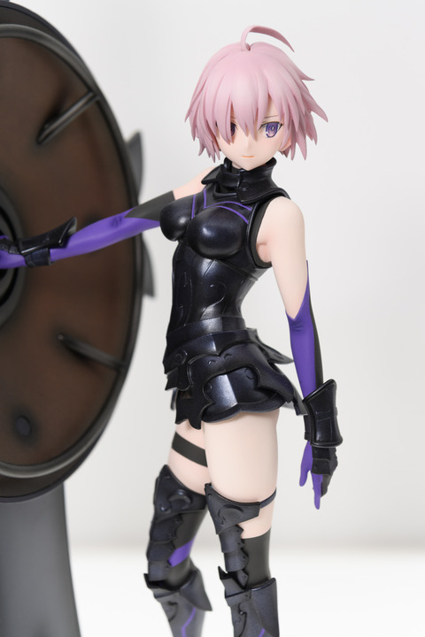 WF2016S(ANIPLEX)-0009