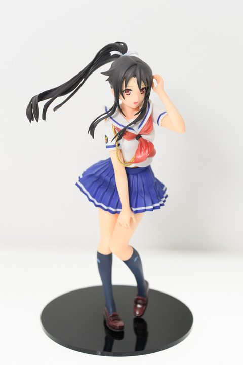 WF2016S(ANIPLEX)-0040