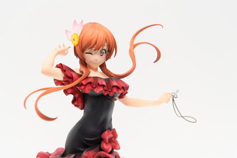 WF2016S(ANIPLEX)-0018