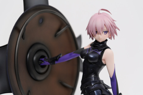 WF2016S(ANIPLEX)-0013