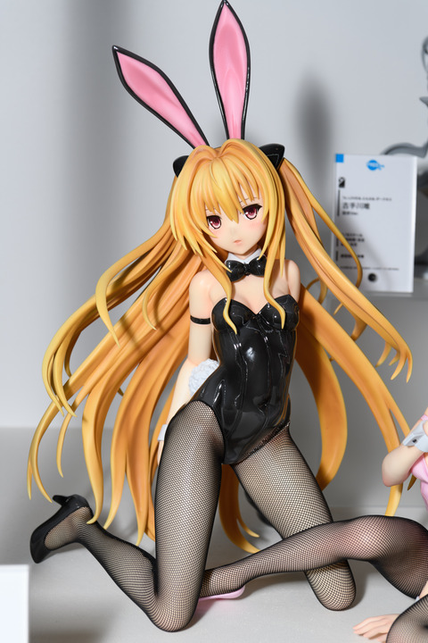 WF2016S(Wonhobi)-0261