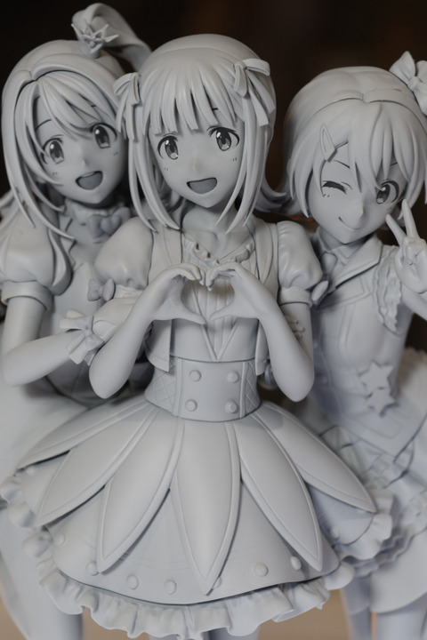WF2016S(ANIPLEX)-0045