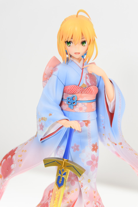 WF2016S(ANIPLEX)-0004