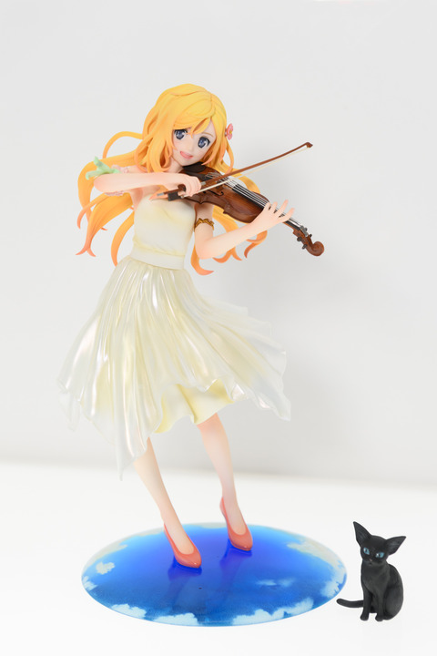 WF2016S(ANIPLEX)-0020