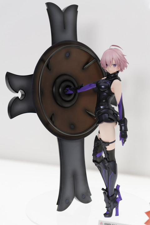 WF2016S(ANIPLEX)-0007