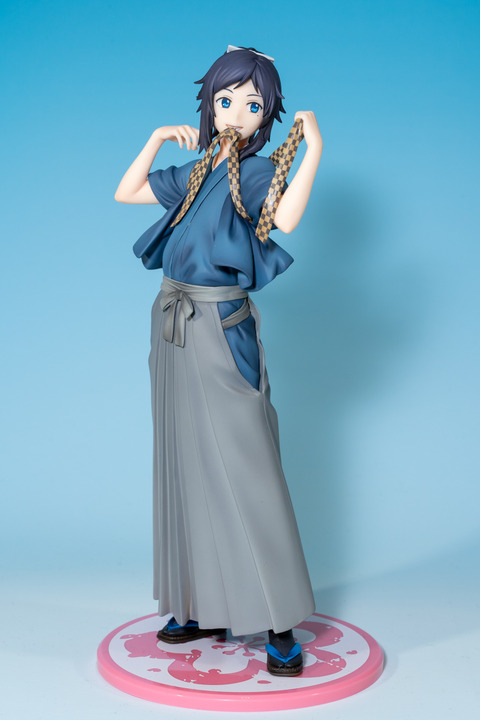ANIPLEX-0004