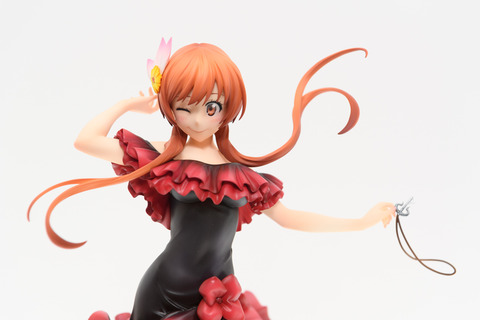 WF2016S(ANIPLEX)-0017