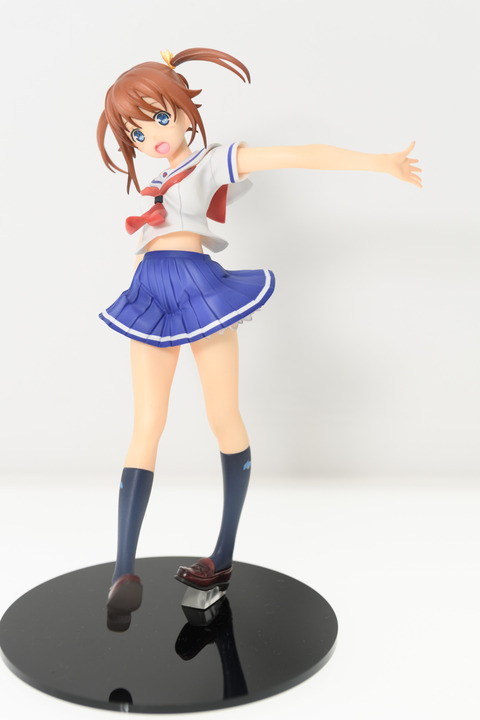 WF2016S(ANIPLEX)-0042