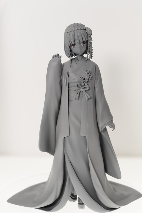 WF2016S(ANIPLEX)-0024