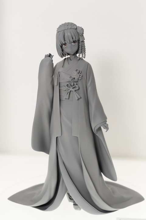 WF2016S(ANIPLEX)-0022