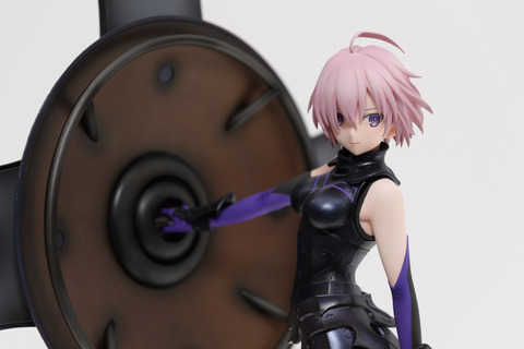 WF2016S(ANIPLEX)-0012