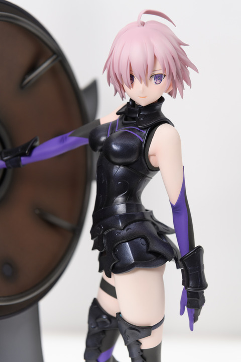 WF2016S(ANIPLEX)-0011