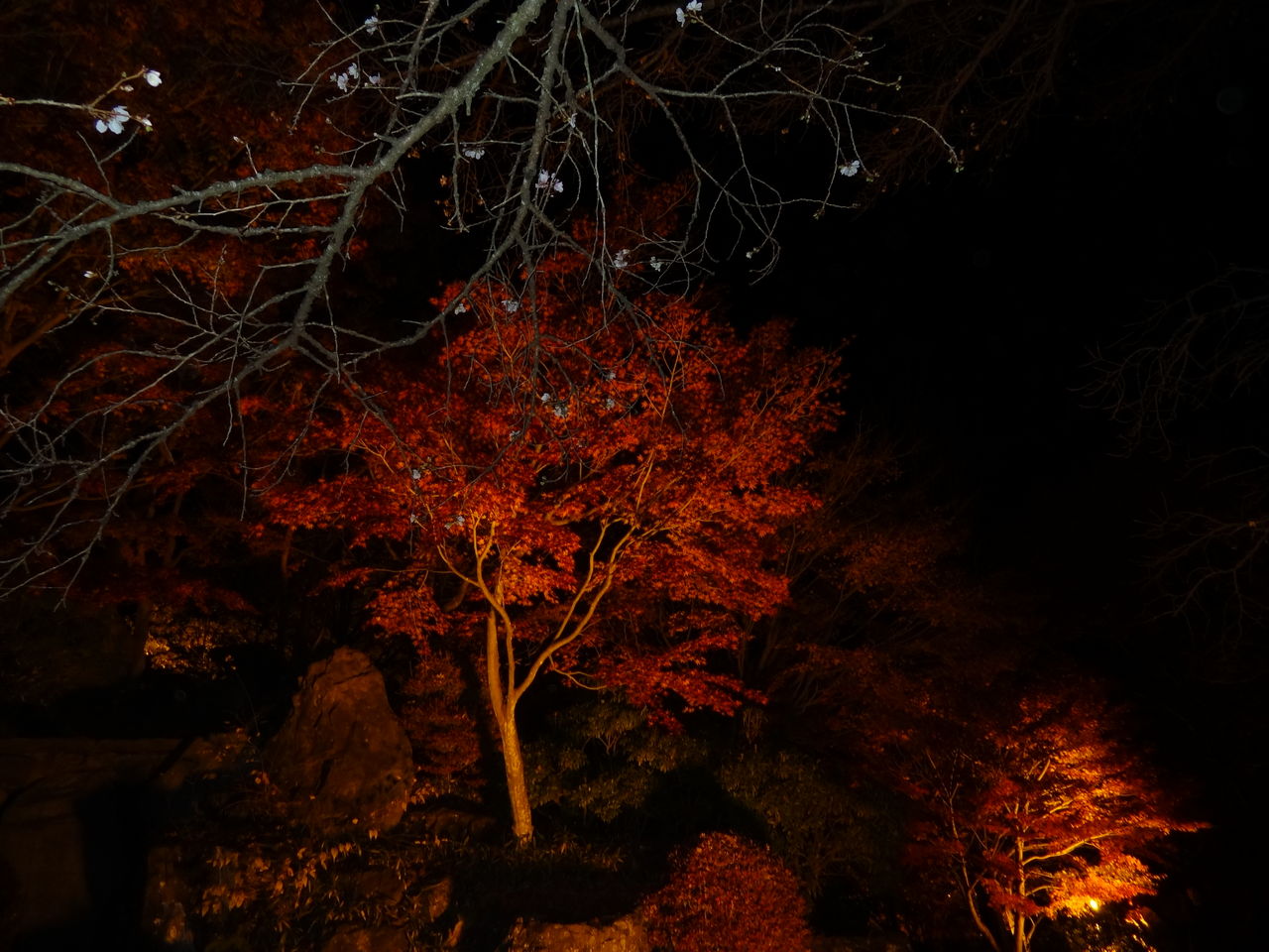 DSC00119